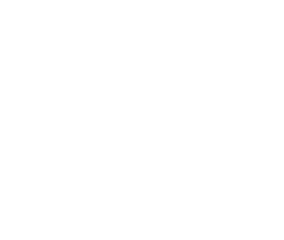 beat-bulls_logo