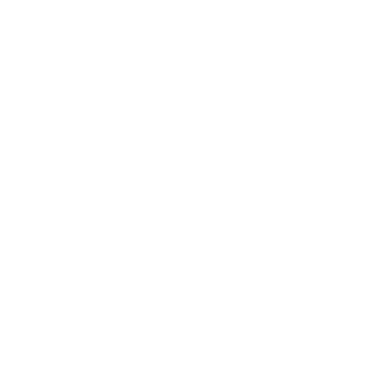 passive-fists-logo