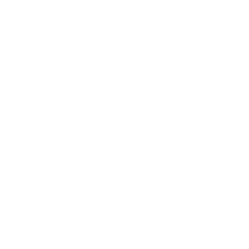 rainer-von-vielen-logo